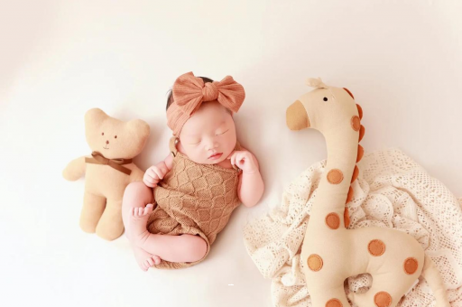 汕尾宝宝虾的做法 汕尾宝宝虾的做法